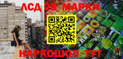 гашик Гусев