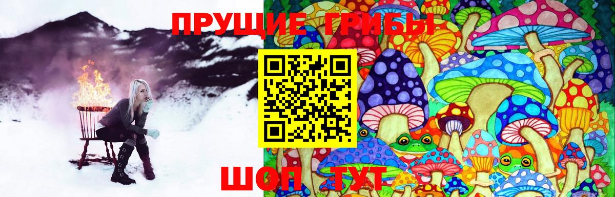 Галлюциногенные грибы Psilocybine cubensis Малоярославец