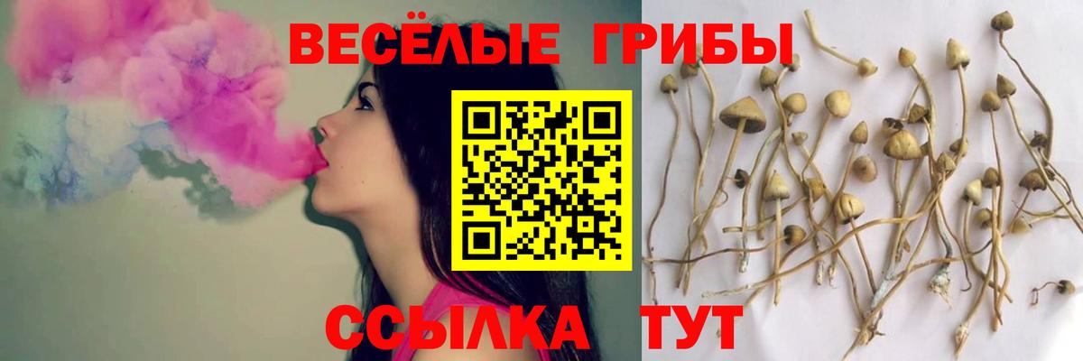 Галлюциногенные грибы GOLDEN TEACHER  Вход с VPN  Малоярославец  Псилоцибиновые грибы MAGIC MUSHROOMS 