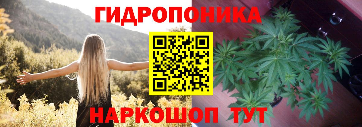 Каннабис конопля Малоярославец